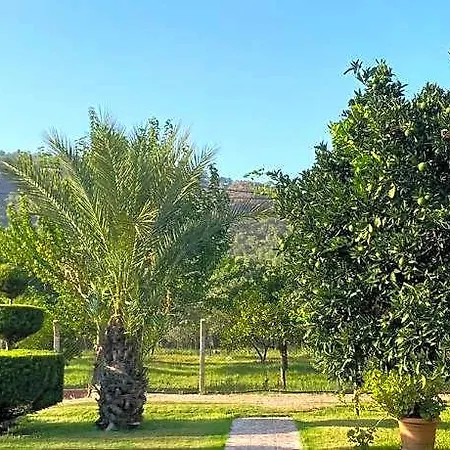 Hotel Plaj Kumluca
