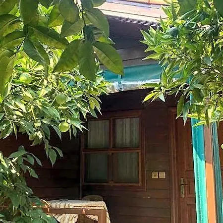 Отель Plaj 5*